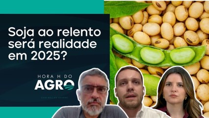 Três importantes alertas para o agro no próximo ano | HORA H DO AGRO