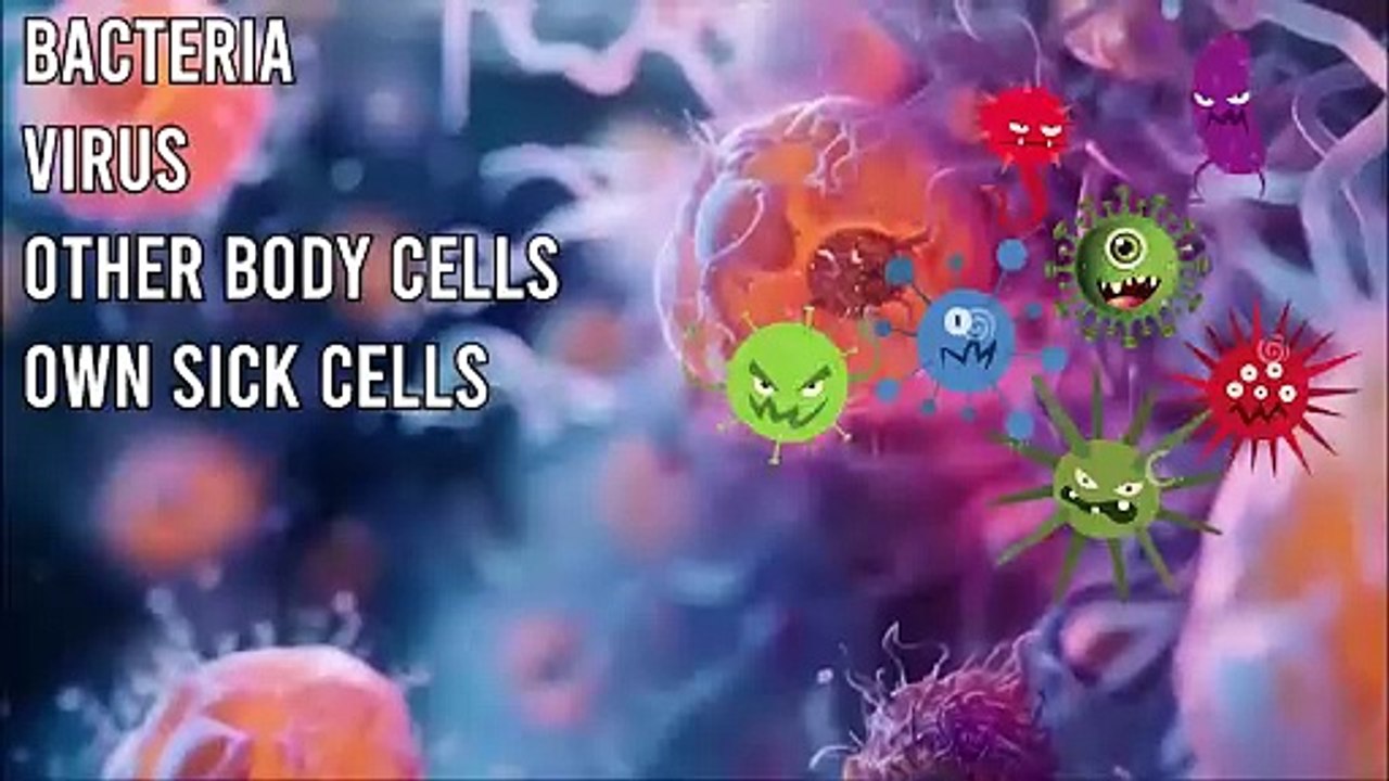 Body Defense System - Immunity _ Responsibility of Immunity