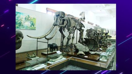 Dunia Hilang Ditemukan di Indonesia, Lokasinya Mencengangkan