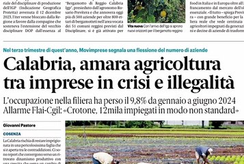 Rassegna stampa calabria 7 dicembre 2024