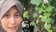 Kembang