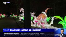 Paris: au Jardin d'acclimatation, des dinosaures illuminés pour attirer un nouveau public