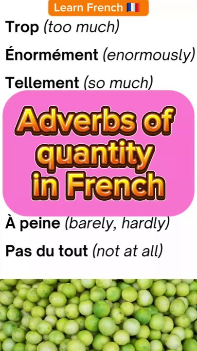 Adverbs of quantity in French ✔️ | Learn French Vocabulary with Moh and Alain #learnfrench