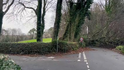 Storm Darragh: Tree down on the road to Tynwald Mills