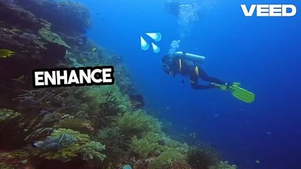 Revolutionizing Delhi Zoo_ Nano Bubble Tech!-VEED