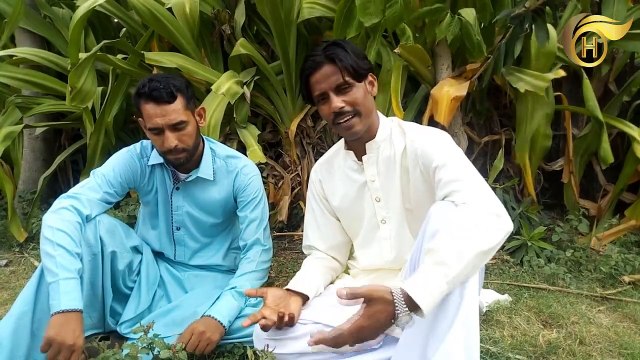 Dard Bare Mahiye | Singer Asad Ali Hazara & Zaheer Awan | Latest Hindko Pothwari And Saraiki Song