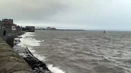 Storm Darragh Brings Heavy Rain and Strong Winds to Edinburgh 🌬️