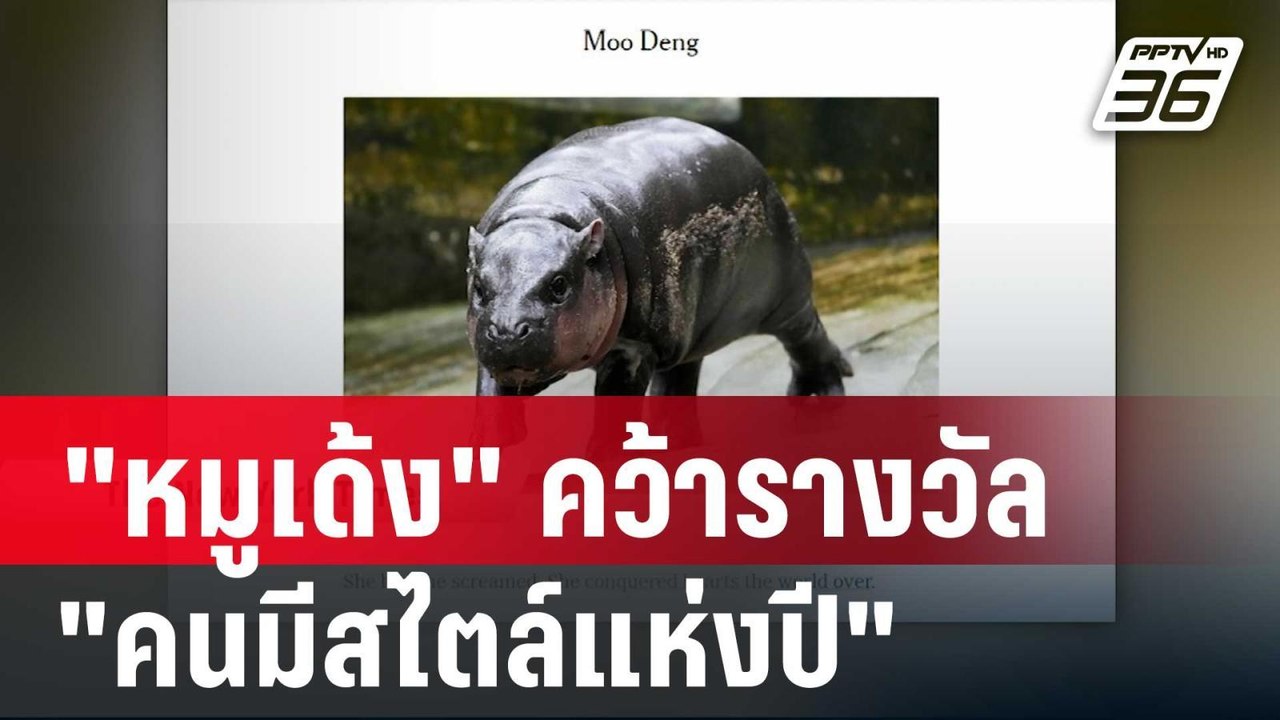 กรี๊ดสุด!  "หมูเด้ง" คว้ารางวัล "คนมีสไตล์แห่งป...