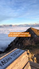 Le Môle à Bonneville, c’est le coin parfait pour une pause nature ! 🌄   Que ce soit pour une randonnée tranquille ou juste profiter de la vue sur les montagnes, c'est l'endroit idéal pour se ressourcer. 🌿🚶‍♂️  🎁 Tous nos bons plans à retrouver en bio