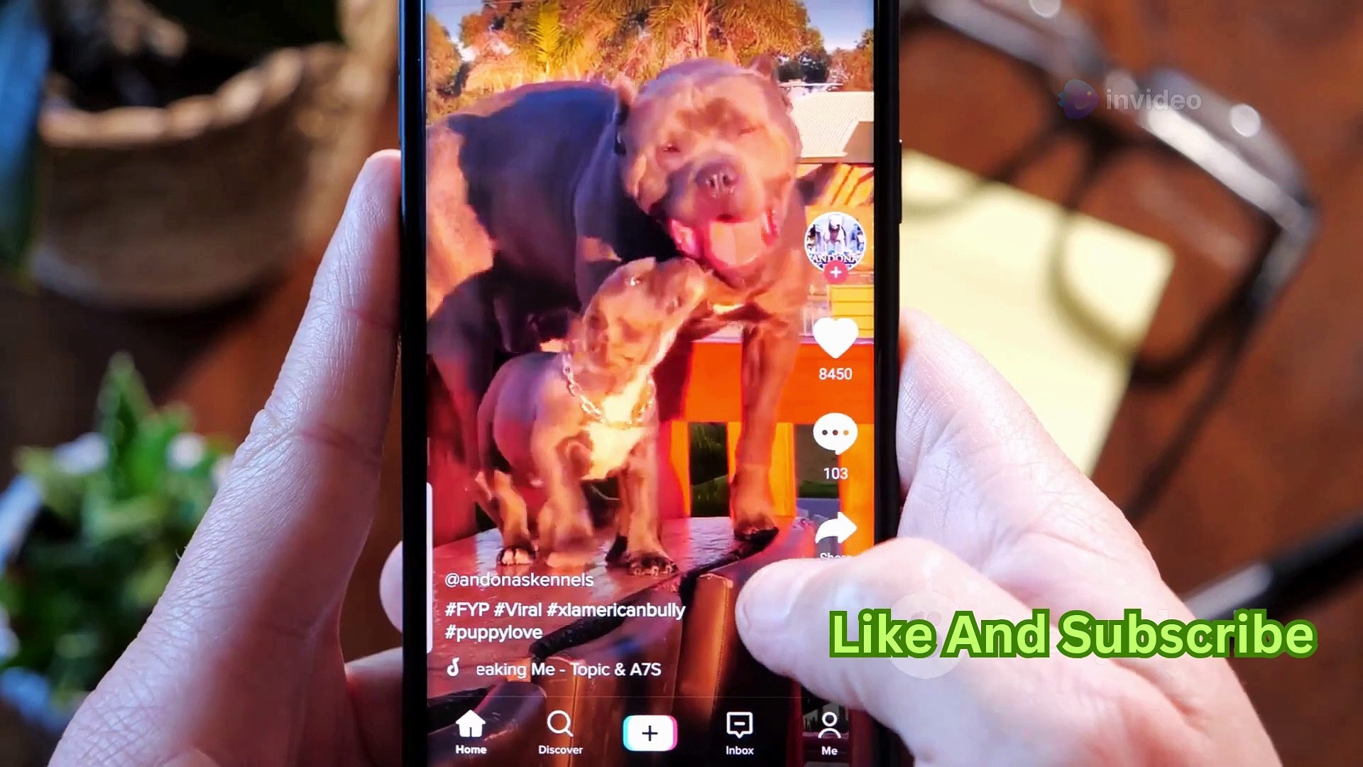 ⁣“How to Use ChatGPT for Everyday Tasks”