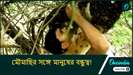 মৌমাছির সঙ্গে মানুষের বন্ধুত্ব! হুল সহ্য করে এই পতঙ্গকে ভালোবেসে যাচ্ছেন ‘বি-ম্যান’