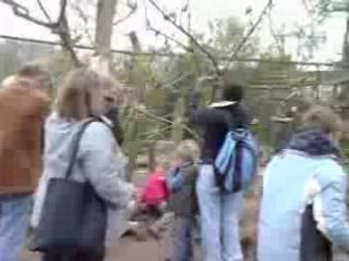 MOV00021