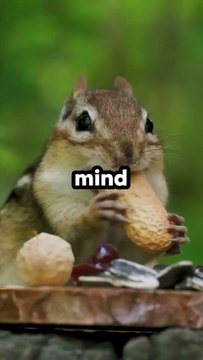 5 mind blowing psychology facts about animals part-1 #facts #interestingfacts #animals #shorts