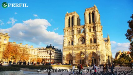 WhatsApp Alerta Brasileiros: Notre-Dame e Novas Animações Disney em 2025 🎬