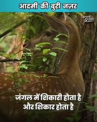 आदमी औरत को बुरी नज़र से क्यों देखता है? || आचार्य प्रशांत