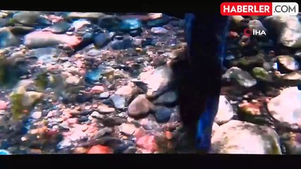 MHP'den 'Şambala' Film Gösterimi ve Söyleşi Etkinliği