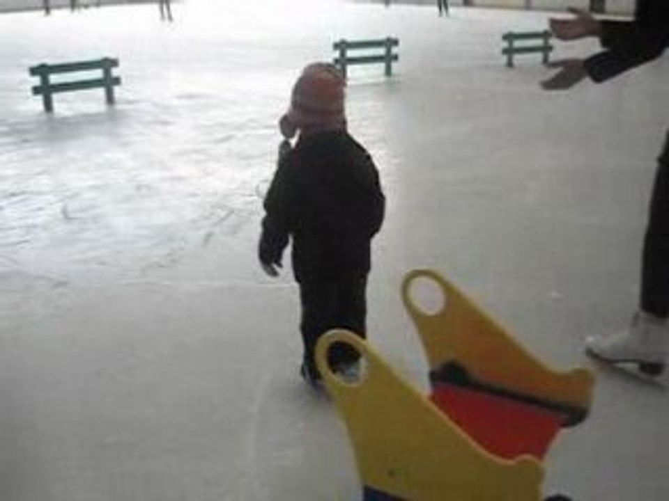 Robin tout seul ! (2)