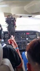 Avião colide com urubu e ave fica pendurada na cabine