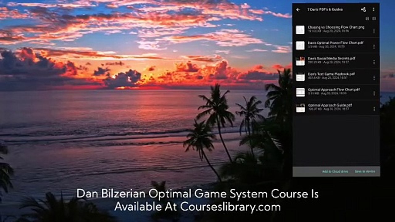 [GET]Dan Bilzerian Optimal Game System Course download