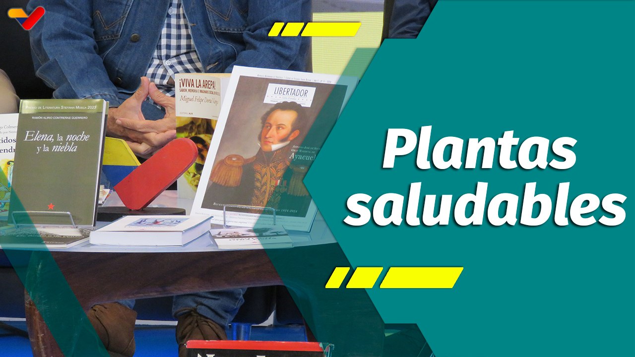 Punto Verde | Naturaleza, ciencia y soluciones caseras para el bienestar