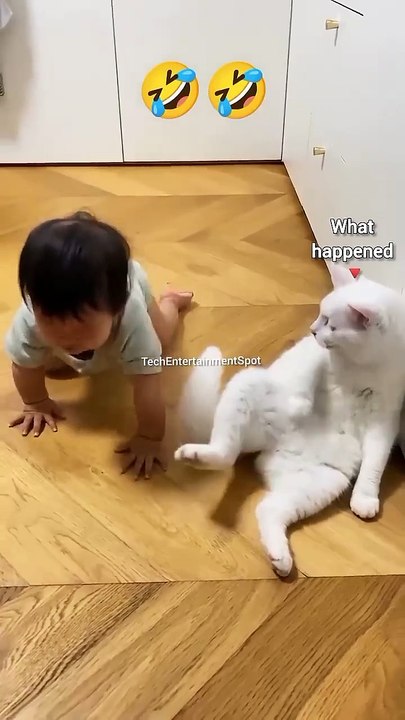 When Baby & Cat become Friends #viral Enteriterment World