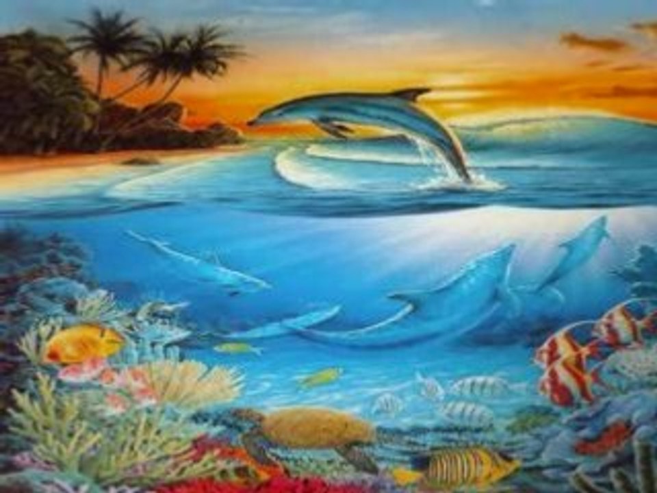 Les dauphin_0001