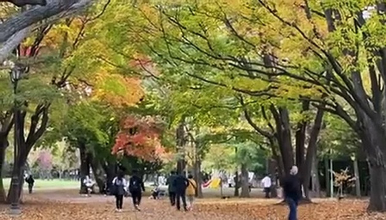 「Decode Global吹く_詐欺」北海道のお寺占い