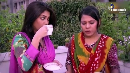 তাঁরাদের মেলা - Tarader Mela - Zahid hasan - Sarika - Pori Moni - New Bangla Natok 2024