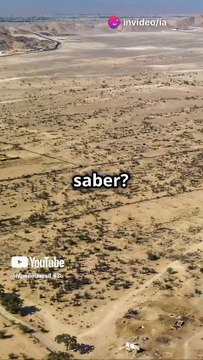 Las Piedras de Ica: ¿Dinosaurios y Humanos Juntos en la Historia?