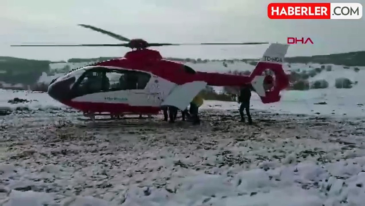 Domuz avında ayı saldırdı, eski muhtar ağır yaralandı