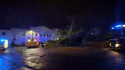 Tree down in Grove Street and Portland Place West credit Harry Brown