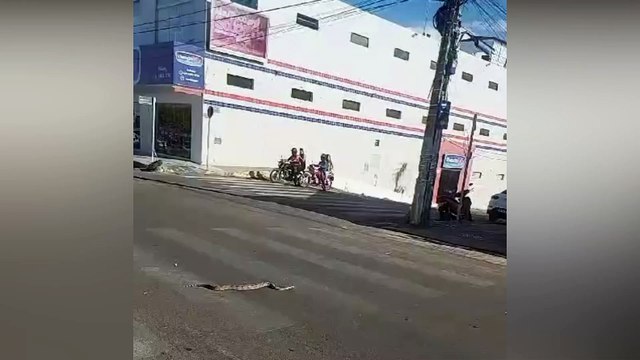 Jiboia de 1,5 metro aparece no meio da rua e impressiona moradores no Centro de Cajazeiras