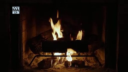 Adult Swim Yule Log 2: Branchin' Out | movie | 2024 | Official Trailer