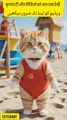 बिल्ली नृत्य/cat dance Funny #shorts #shortsfeed #cat dance video