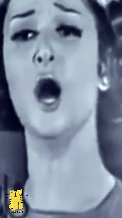 Funny Cat & Cute Kittens170😻 #shorts #kucing #kucinglucu #funny #pet #cat #foryou #viral #viralvideo