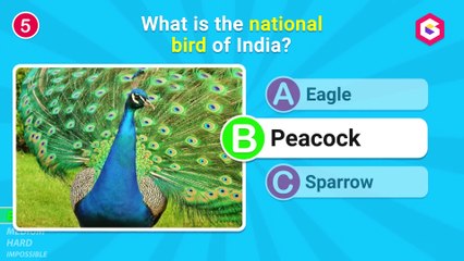 How Much Do You Know About India_ 🇮🇳 General Knowledge Quiz & Trivia