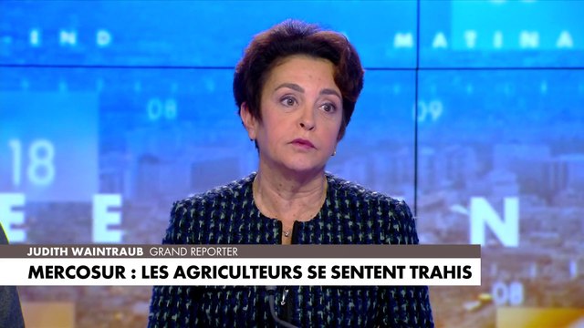 L’accord avec le Mercosur «est un coup de poignard dans le dos», détaille Judith Waintraub