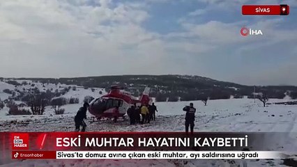 Sivas'ta ayı saldırısına uğrayan eski muhtar tüm müdahalelere rağmen kurtarılamadı