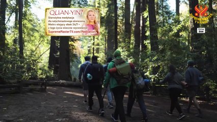 Divine Connection: Luna/Beauty the Redwood Tree and Communicator Yaya (vegan), Part 3 of 4