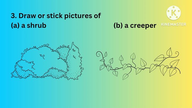 Oxford amazing science class 1 unit 3 plants question answer solved exercise