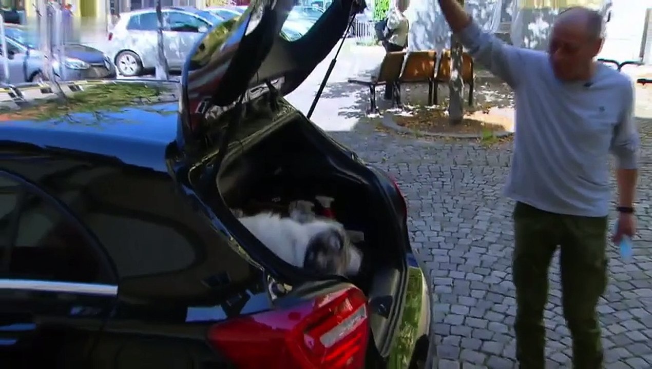 Die Simson-Bande S01E04-Eine Ratte für Max