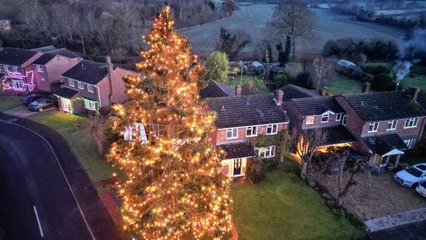 Couple's Christmas tree planted in 1979 is tourist hit after growing over 50ft