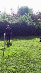 Urban Vom Hause Matterhorn - Entrainement Ring