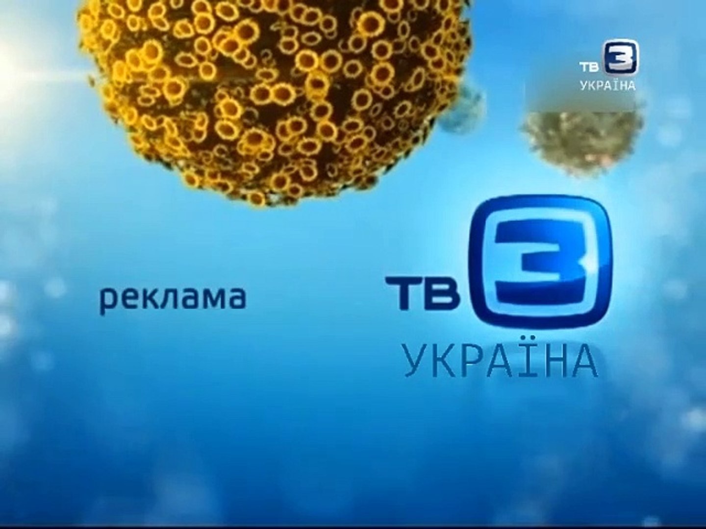 ⁣CuddlesTelevisionNetwork / ТВ-3 Україна - Безперервність і регіональна реклама (Чернігів) (21.10.201