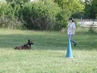 Absence caché altair