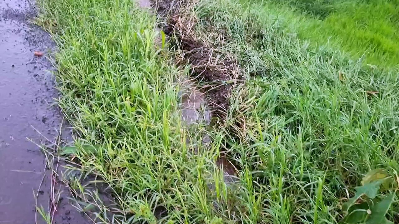 Motorista perde o controle e tomba caminhão na BR-163, em Cascavel