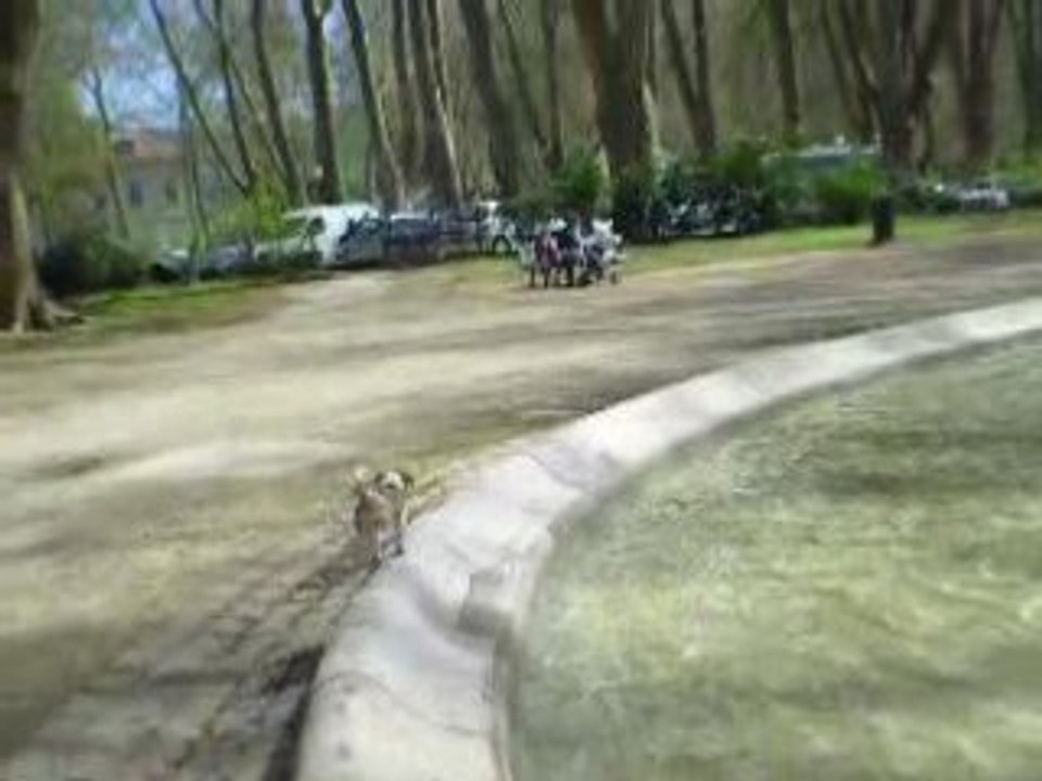 1ere baignade