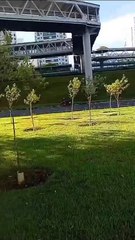 Batida entre carro e moto deixa dois mortos na avenida Paralela