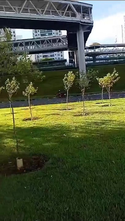 Batida entre carro e moto deixa dois mortos na avenida Paralela