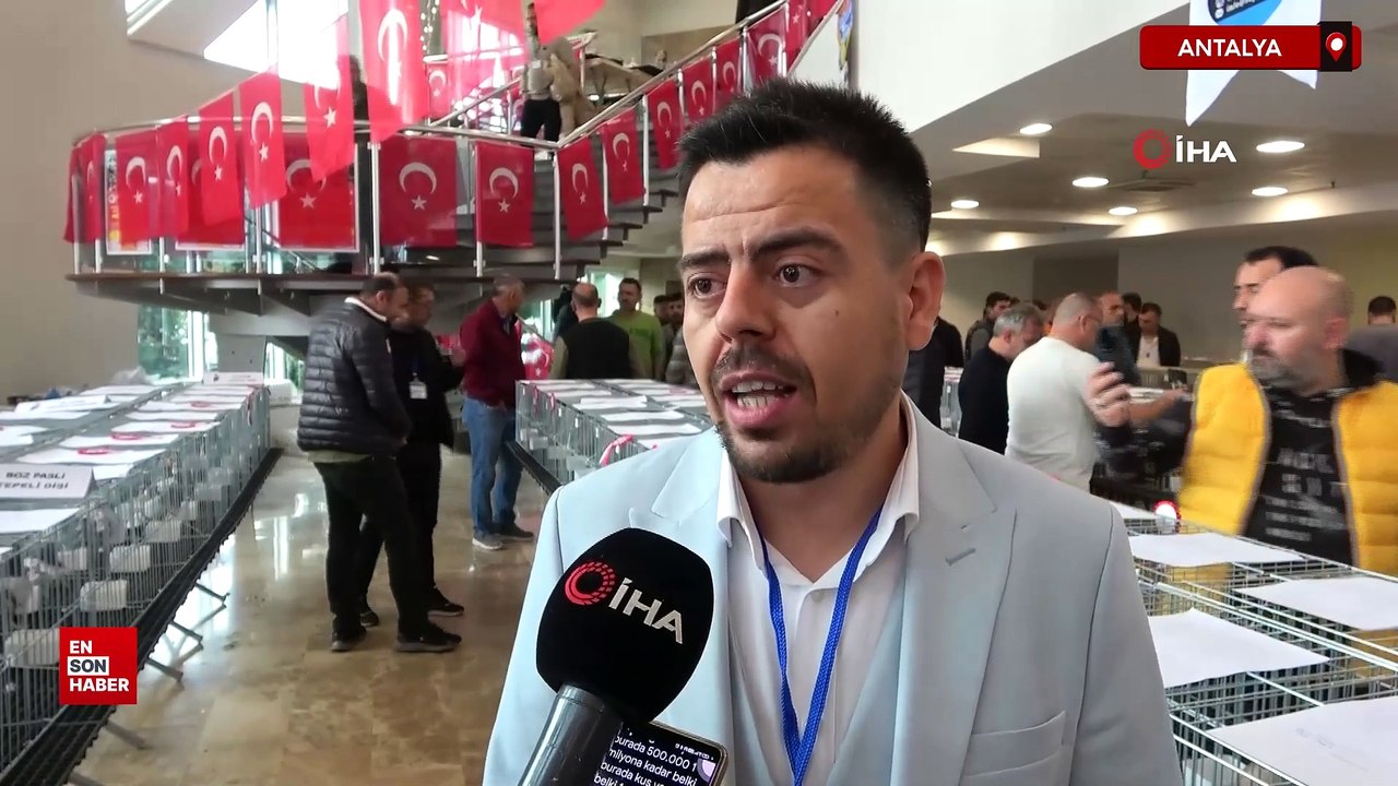 Milyonluk güvercinler Antalya’daki festivalde buluştu